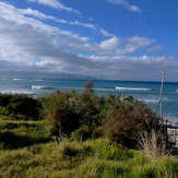 Mahia north coast reefs, Tuahuru Reefs