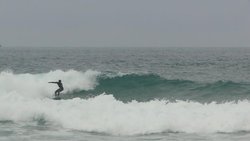 surfe com vento, Praia Mole photo