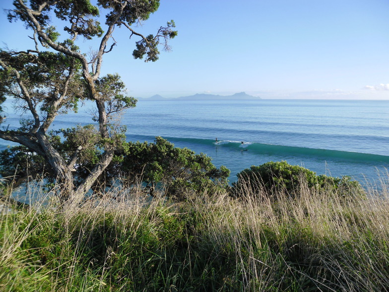 just over the smelly creek,and up the hill..feb..2013, Waipu Cove