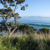 just over the smelly creek,and up the hill..feb..2013, Waipu Cove