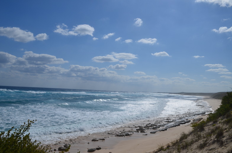 Surfers Beach