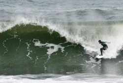 linkys '12 h photo