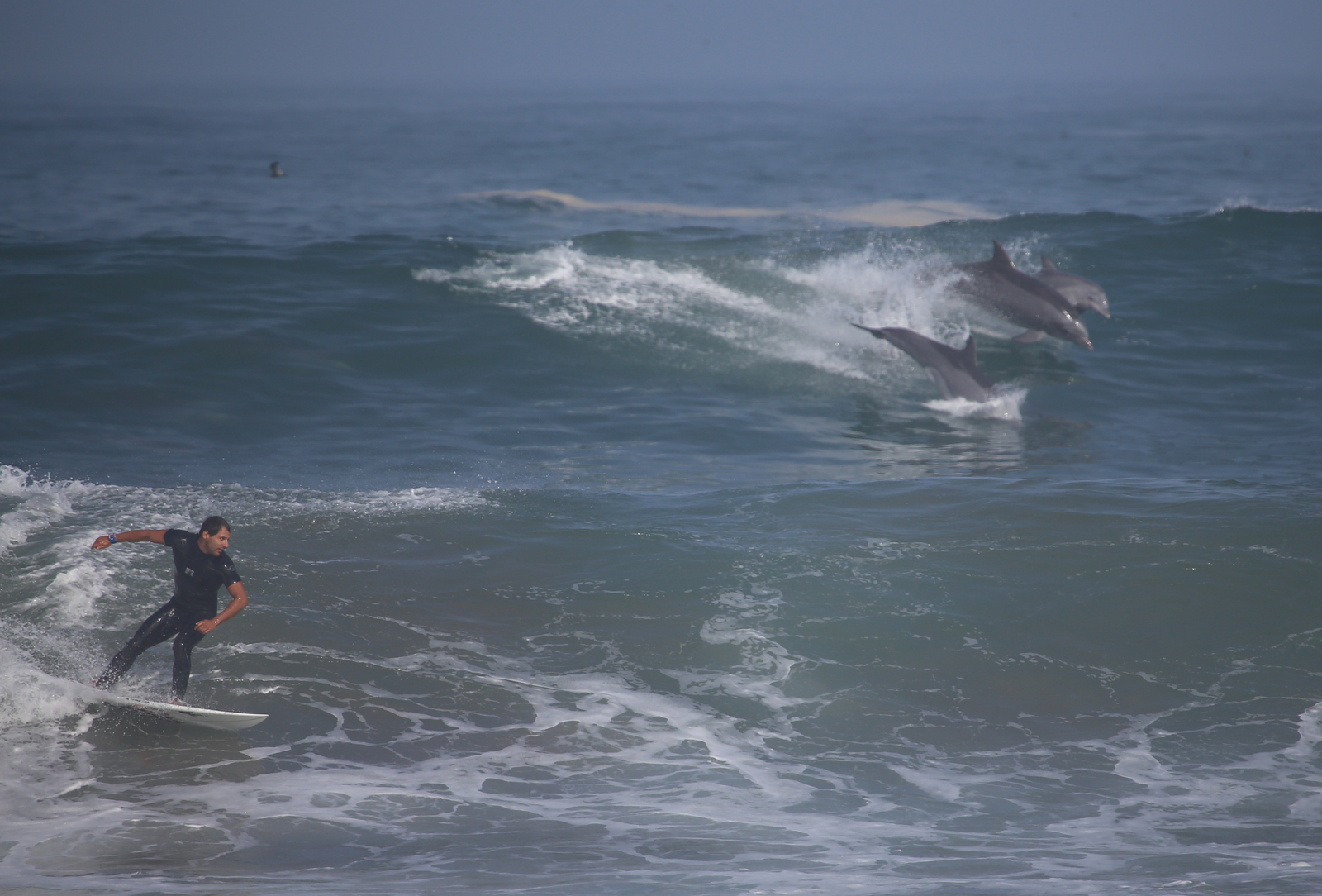 Surfing with dolphins, Puerto Viejo