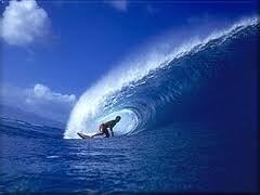 Maca (thrift) boster, Lone Pine Brighton