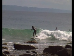 tiny surf, Noosa - Tea Tree Bay photo