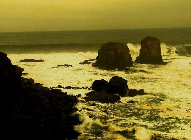 welcome to the freedom punta de lobos