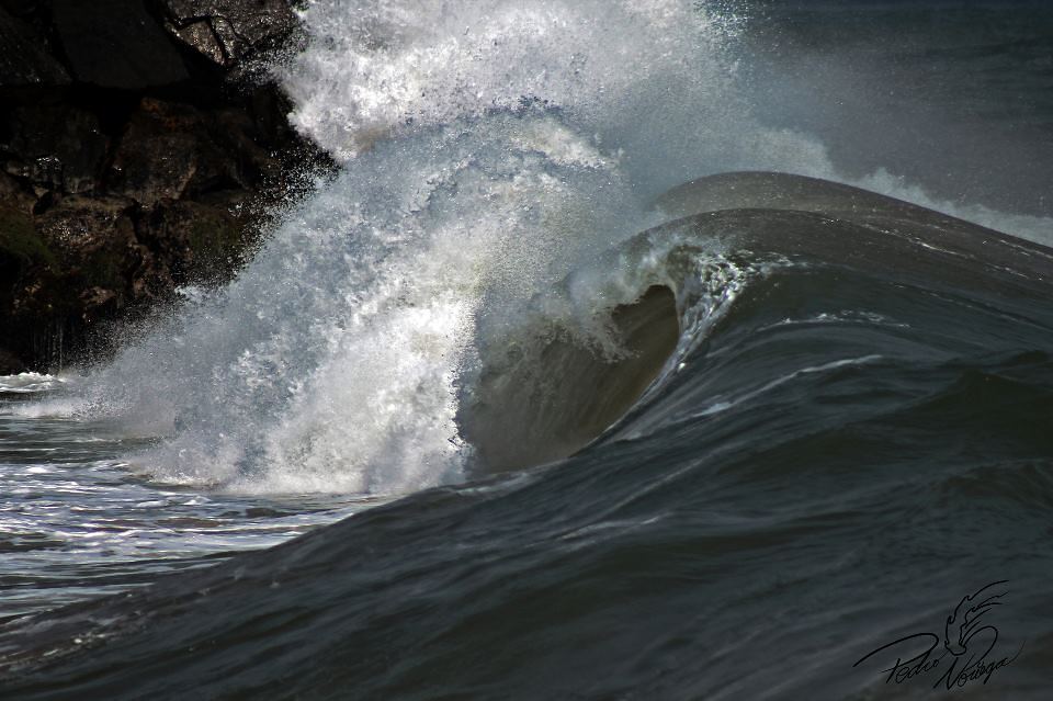 PELUA-CATIA LA MAR, Marina Grande