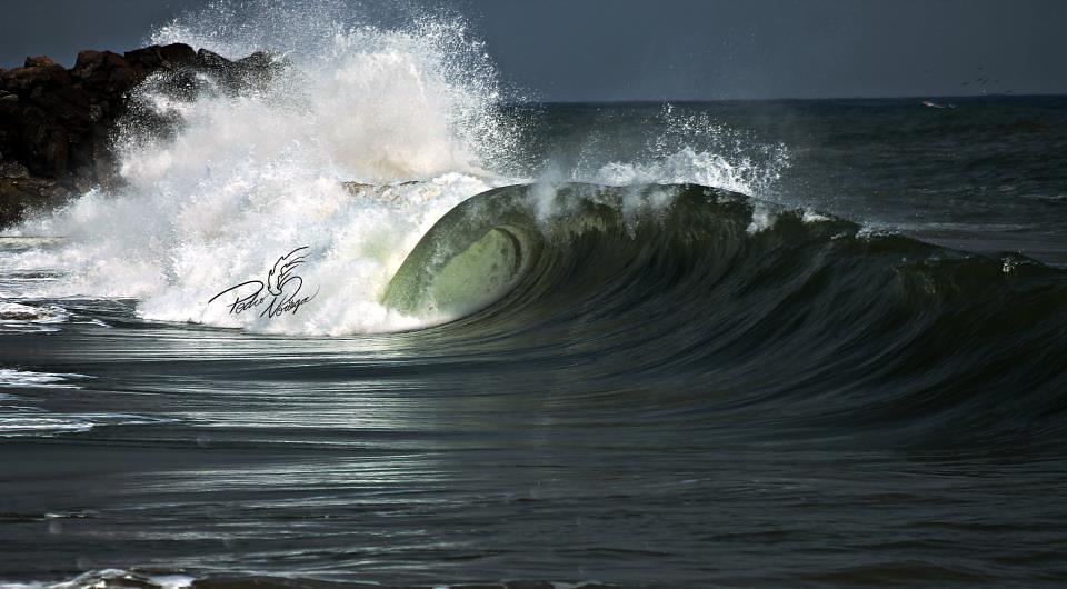 PELUA-CATIA LA MAR, Marina Grande