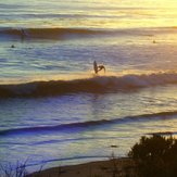 Sunset Session, Beavers