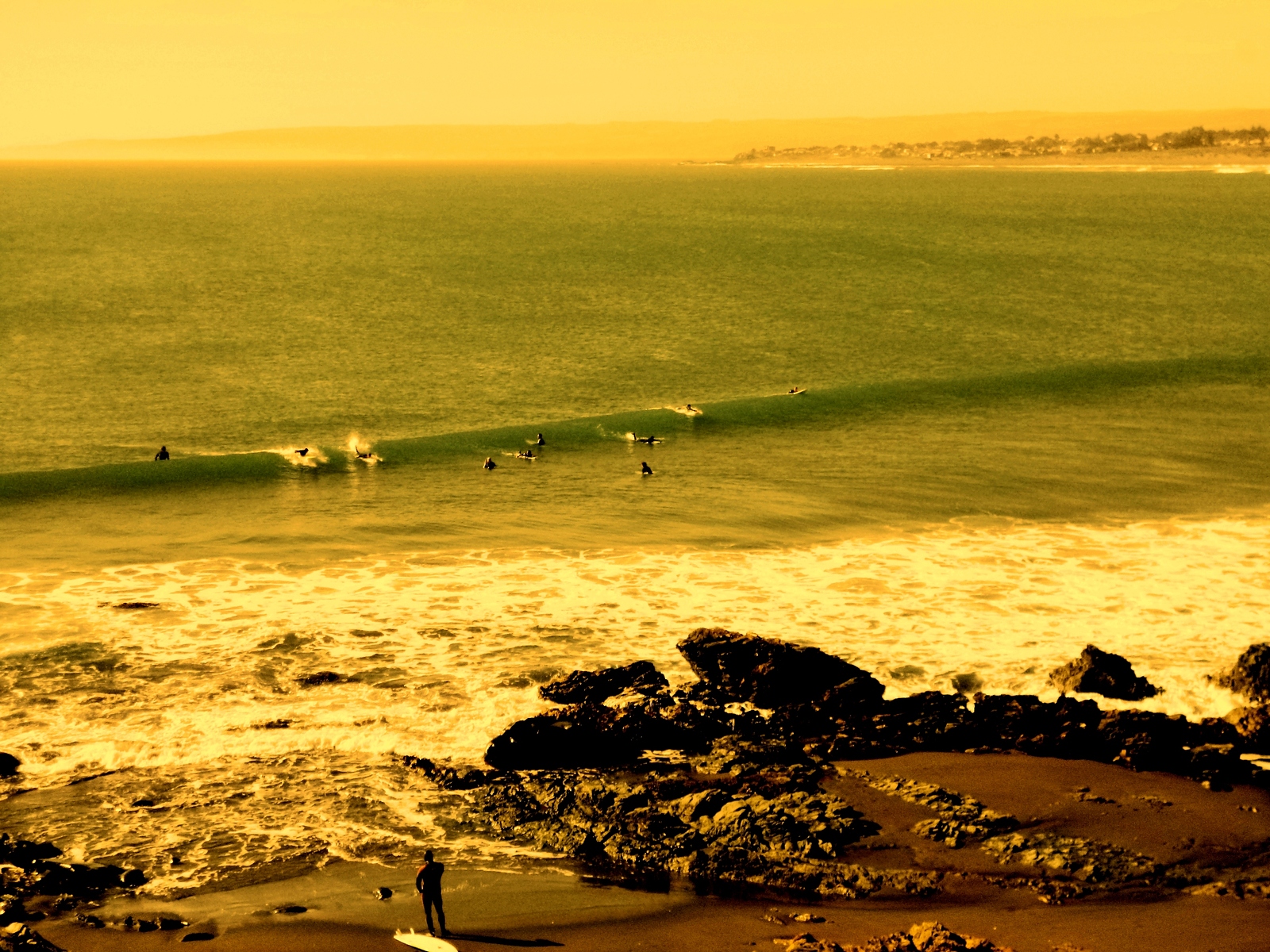 domingazo en punta de lobos