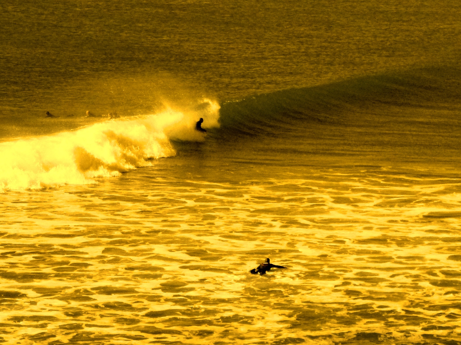 salida de descanso, Punta de Lobos