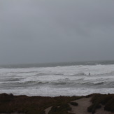 Only the lonely Sea Tern, Papamoa Beach Park