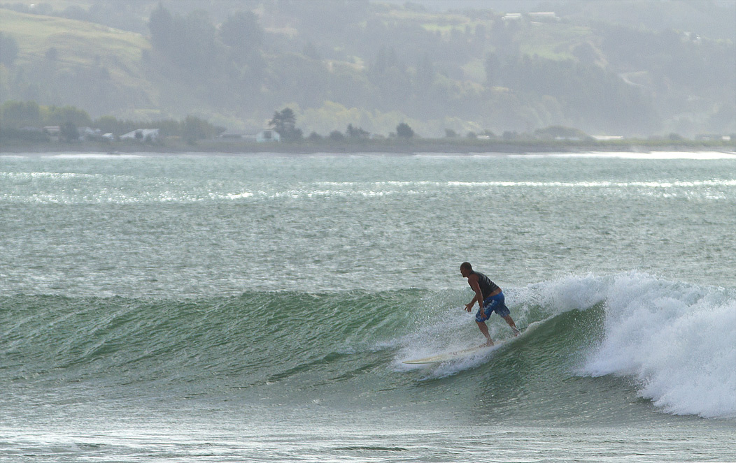 Willie at the Reef, Napier - The Reef