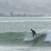 Willie at the Reef, Napier - The Reef