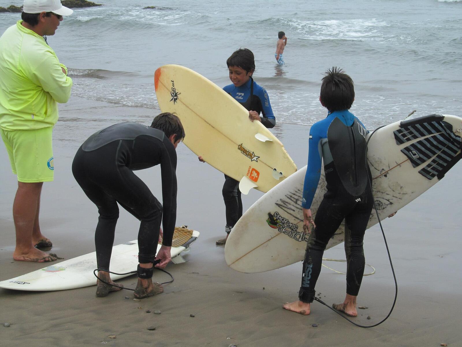 El futuro de maitencillo
