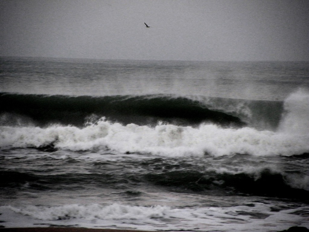 Sahara Surf | Taghazout Surf Guiding, Anchor Point