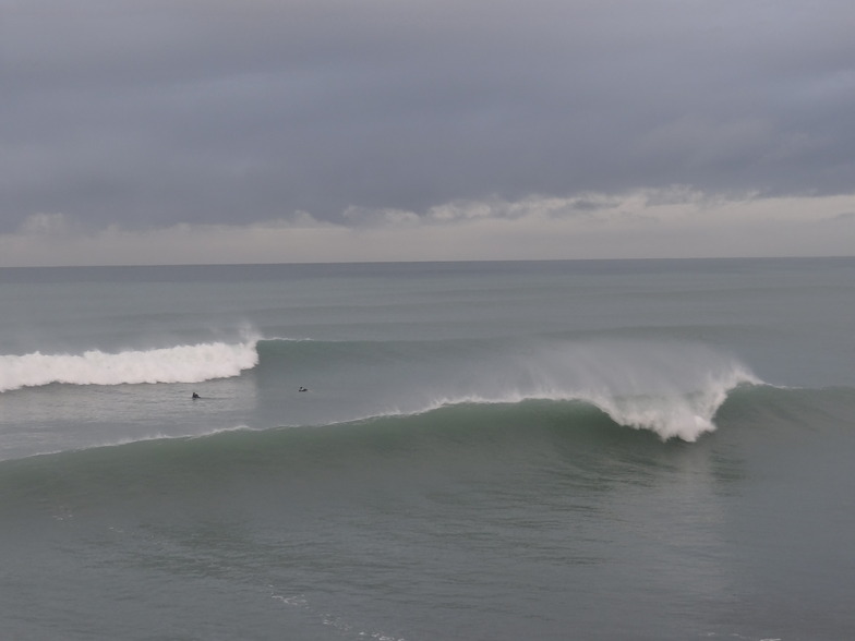 Surf shop new shop brighton