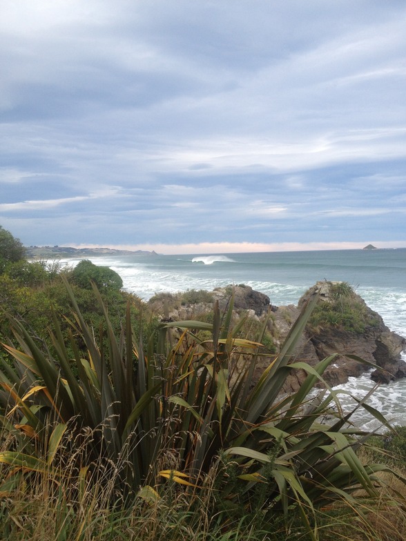 Dunedin - Ocean View
