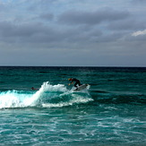 Bondi Beach