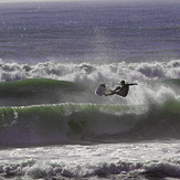 Wild Sunday, Papamoa Beach Park