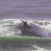 They just kept on coming, Papamoa Beach Park