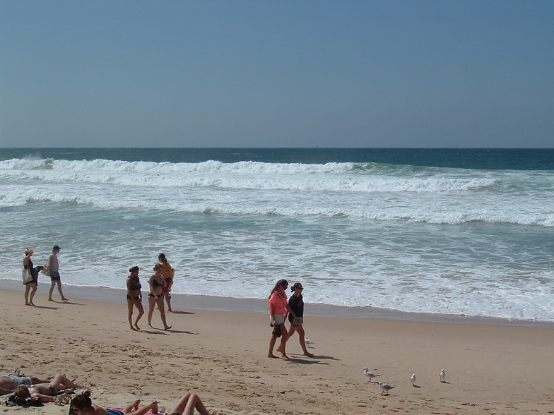 Manly Cyclone Swell