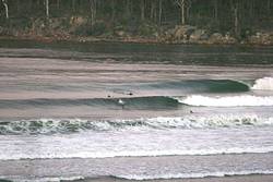 Sitting too wide, Pambula Rivermouth photo