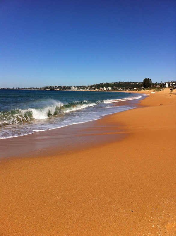 Narrabeen-North surf break