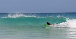 Morillo Cojiendo el tubillo, Playa Grande photo