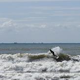 alemao, Balneario de Camboriu