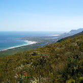 Bettys Bay