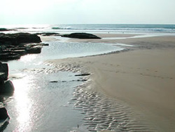 Boobys photo