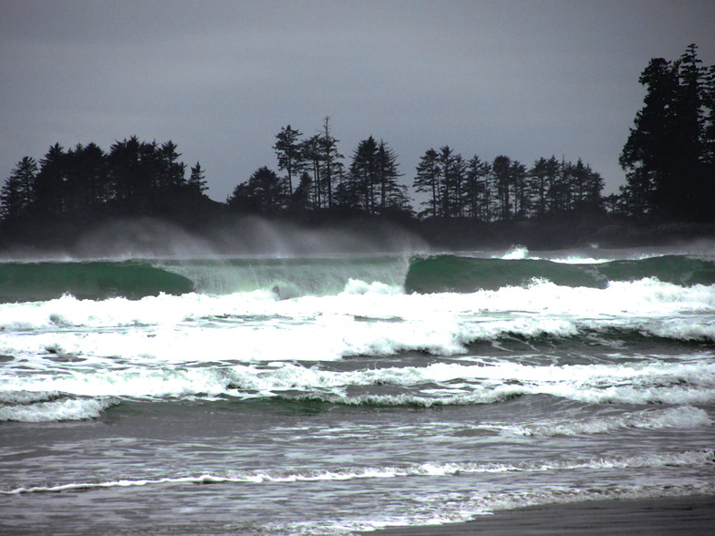 Winter, Long Beach (Tofino Airport)