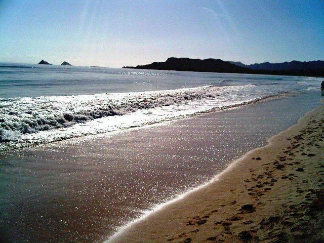 Kailua Beach surf break