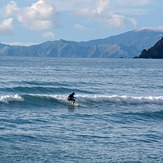 As small as it gets, Whangamoa
