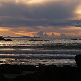 New swell, Whangamoa