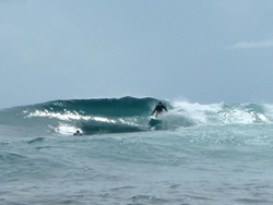 Rubio photo