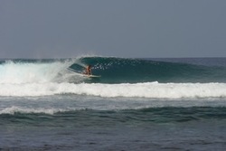 Rubio photo
