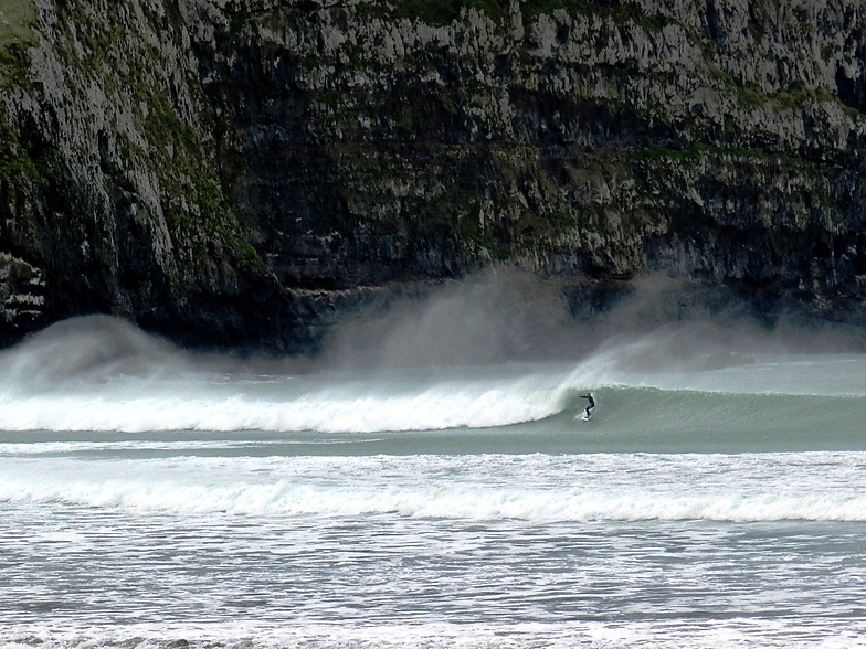 Hickory Cliff, Banks Peninsula - Hickory Bay