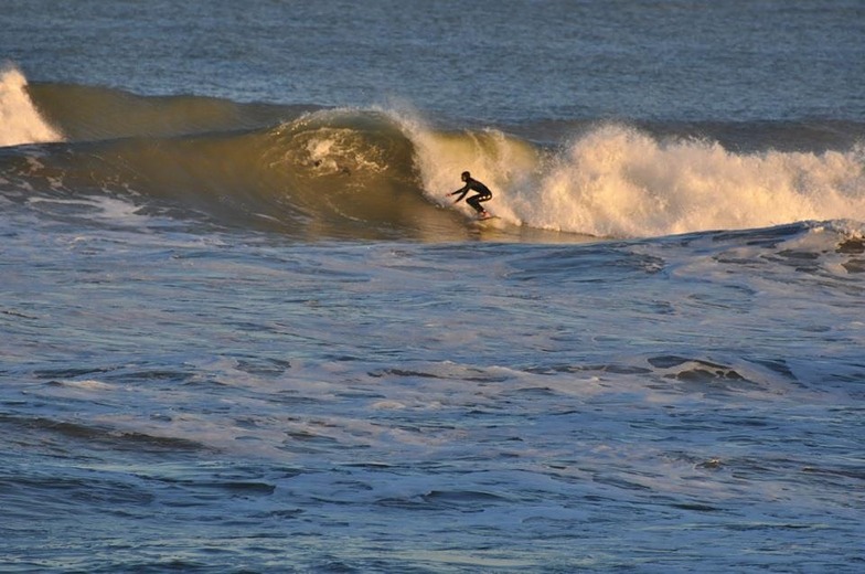 Harbor surf sales