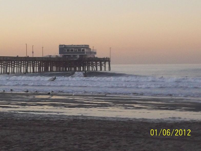 Blackies surfline deals