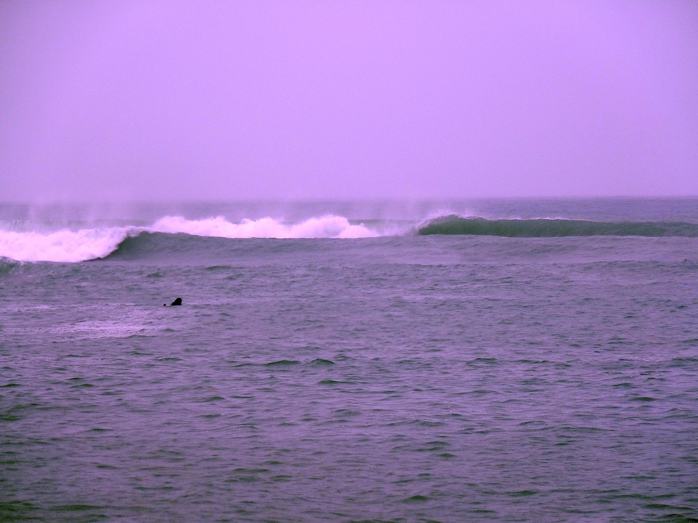 Miserbale weather. Lovely waves, Cable Bay