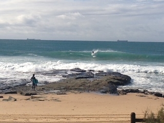 Puckeys - North Beach, Wollongong North Beach