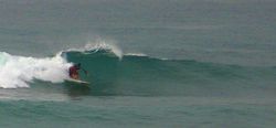 Guibia. photo