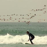 Surf Berbere Taghazout Morocco, Panoramas