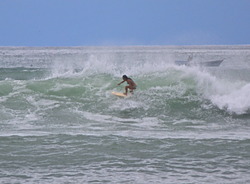 Ripping Up Anclote, El Anclote photo