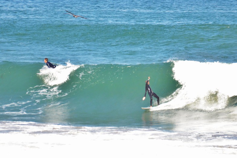 La Jolla Shores Surf Photo By Amanda Barnett Rimmer 1 30 Pm 19 Jun 2013 La Jolla Shores Surf Photo By Amanda Barnett Rimmer 1 30 Pm 19 Jun 2013