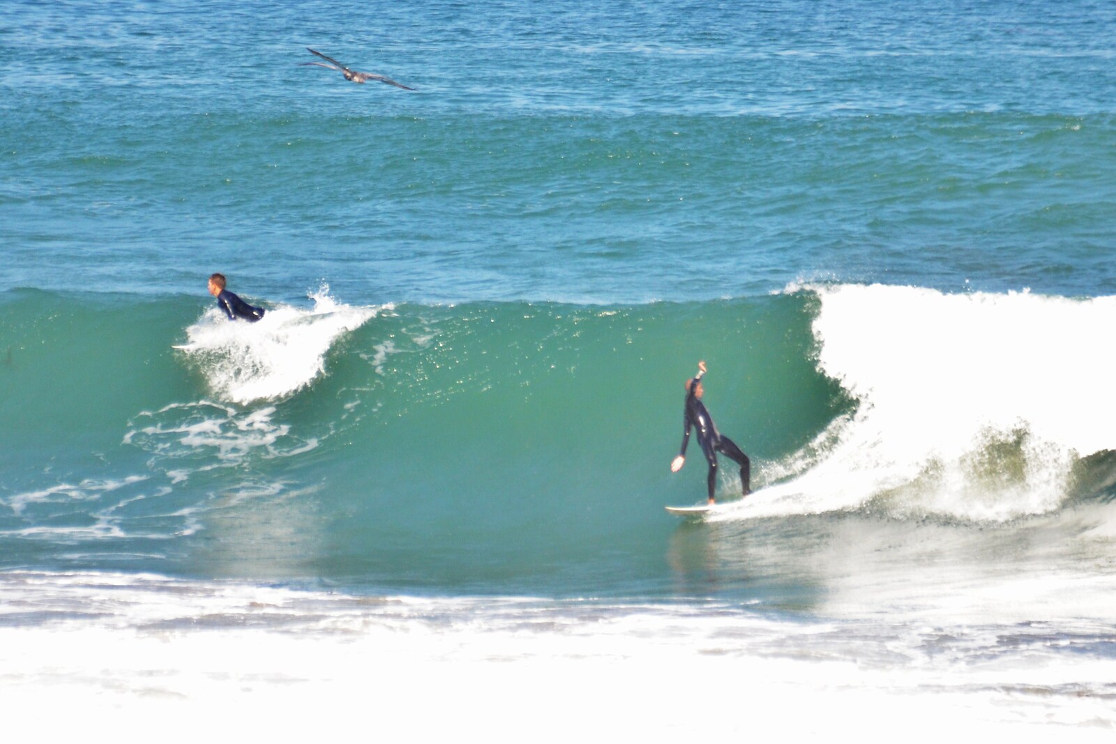 Backward, La Jolla Shores