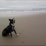 55th Street Pier