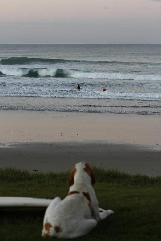 My Beach, Te Arai Point